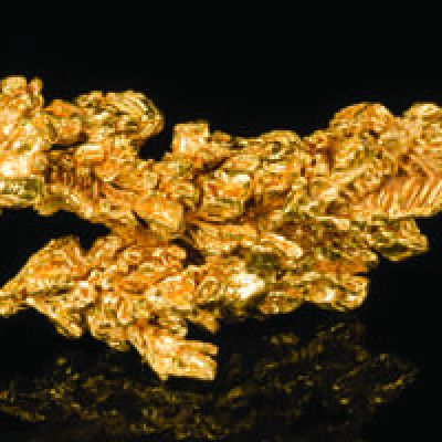 Intricate Brazilian Golds